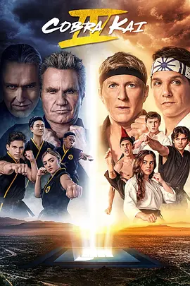 眼镜蛇 第四季 Cobra Kai Season 4