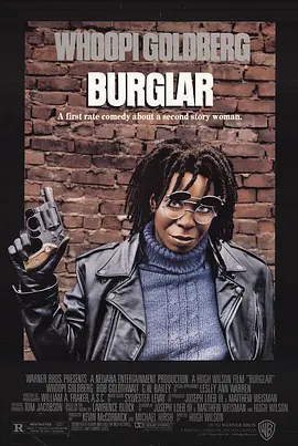 妙贼追凶Burglar